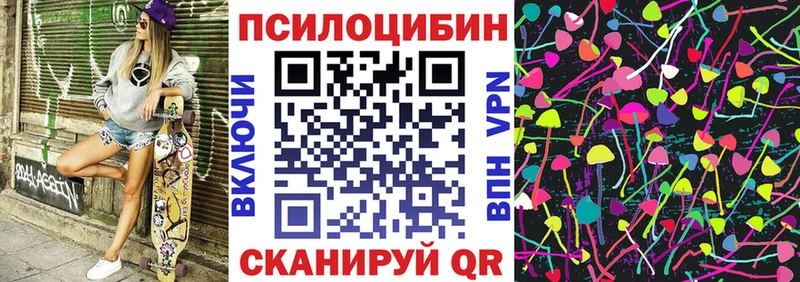 Псилоцибиновые грибы Psilocybe Волгодонск